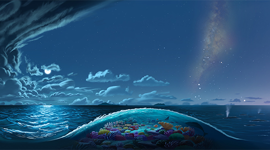 Colour artwork of the Pacific Ocean taken from the Tuia Mātauranga roadshow.