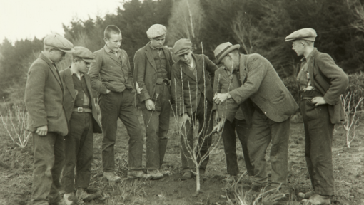 A group of young boys stands around a newly planted tree with their teacher instructing them. 