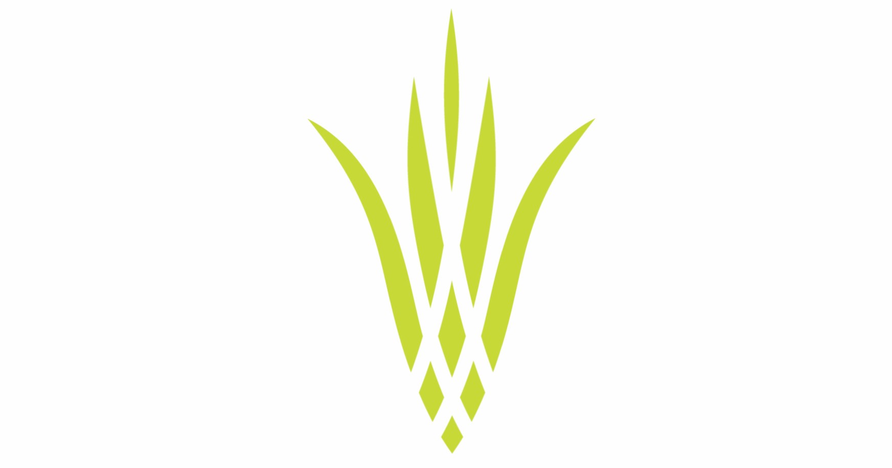 Te Awhi Rito logo green harakeke on white background.