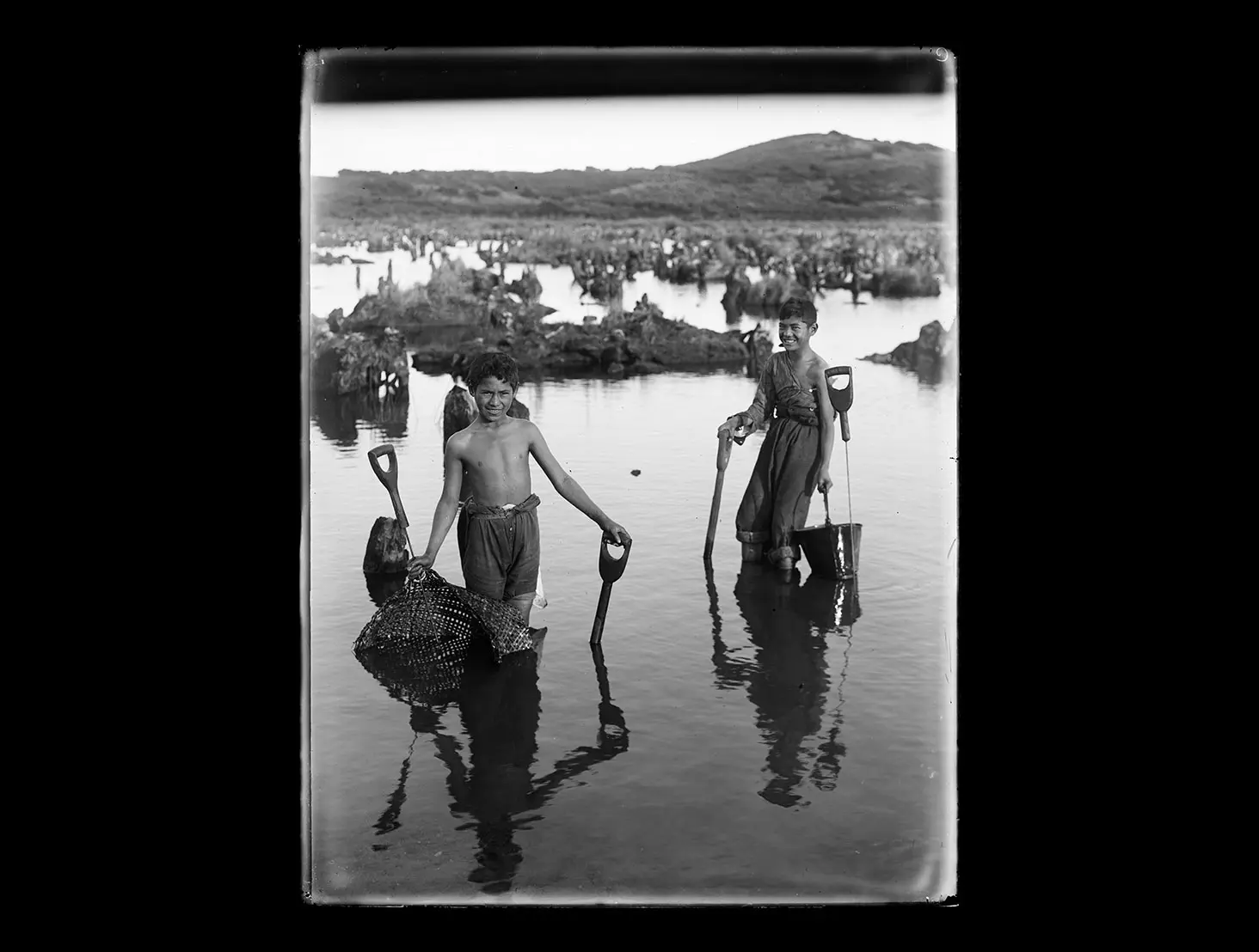 Black and white photo of 2 Māori boys working in a swamp to find kauri gum. They are standing in water with their tools (including spades, spears and a bucket).