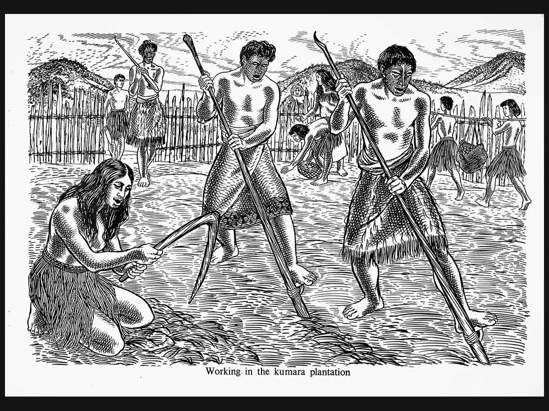 Drawing showing life on a kūmara plantation. Māori dig the soil using a kō (digging stick) or a timo (hoe or pick). In the background of the drawing, they are using harakeke kete (flax baskets) to carry kūmara.