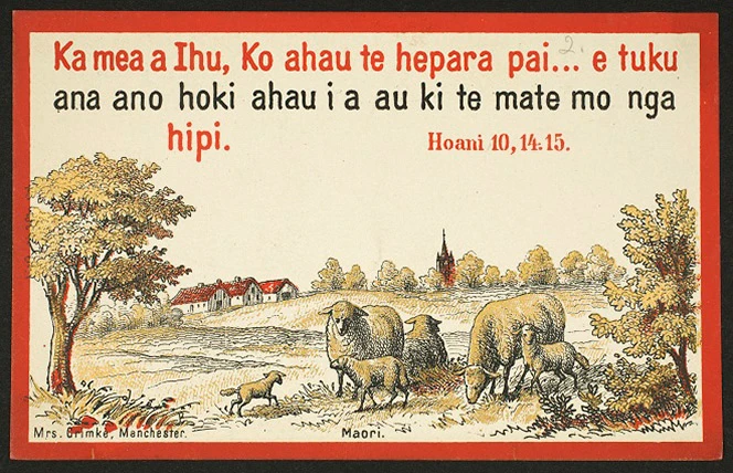Card with a bible verse in te reo Māori. Picture is of sheep and lambs in a field. 