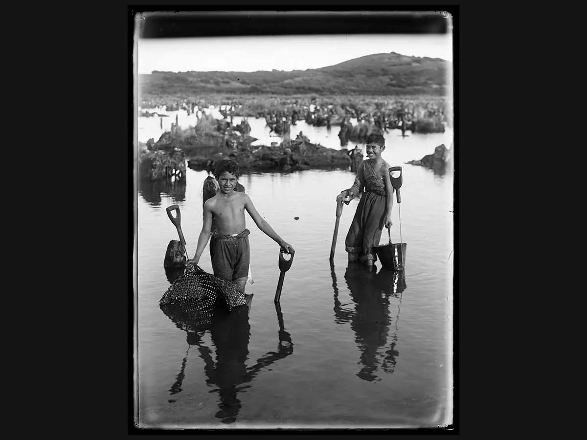 2 children standing in swamp water, searching for kāpia (kauri gum). They are using gum spears and spades, and holding a kete (basket) and a bucket.