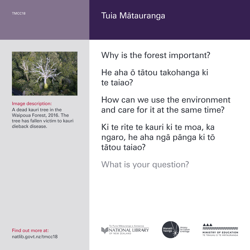 Back of curiosity card TMCC18, with an image description, fertile questions, and a link with more information