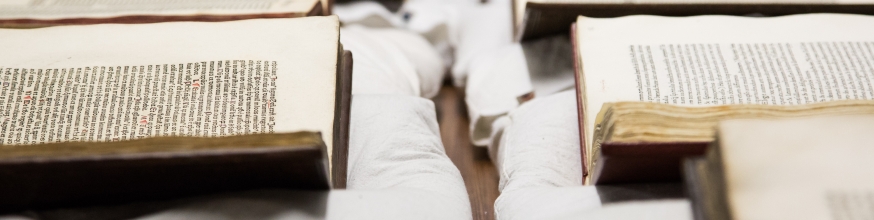 Rare books on display in the secure reading room