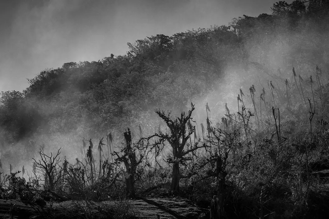 Dan McGarry, Vanuatu