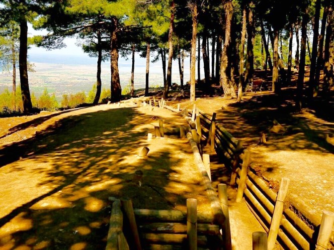 Remains of trenches from the First World War, and a restored trench.