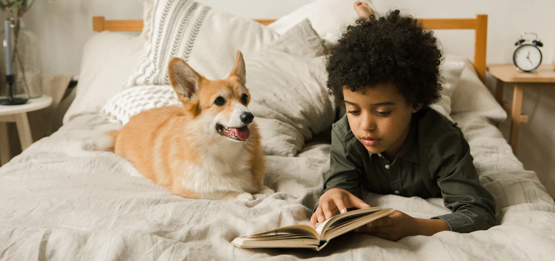 Boy and corgi dog lying on a bed reading for pleasure.