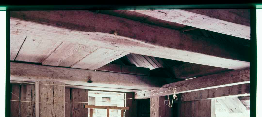 Library Rafters Playing | National Library of New Zealand