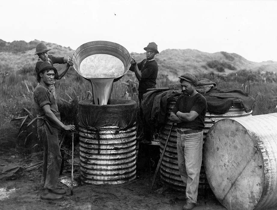 Black and white photograph showing a group of Māori men pouring whale oil into a large metal barrel.