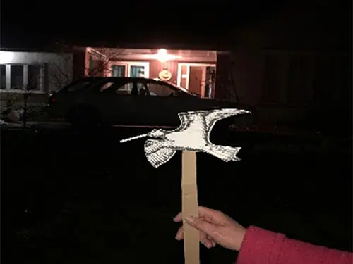 Colour photograph of a kuaka (bar-tailed godwit) cut out held in front of a house at night.