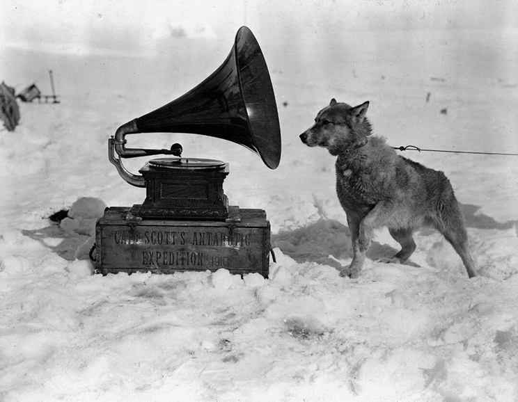 Dog and gramaphone on snow. Dog is straining towards the gramaphone.