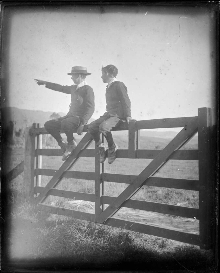 Two boys sitting atop a gate, one of them is pointing to something off camera while the other looks in that direction.