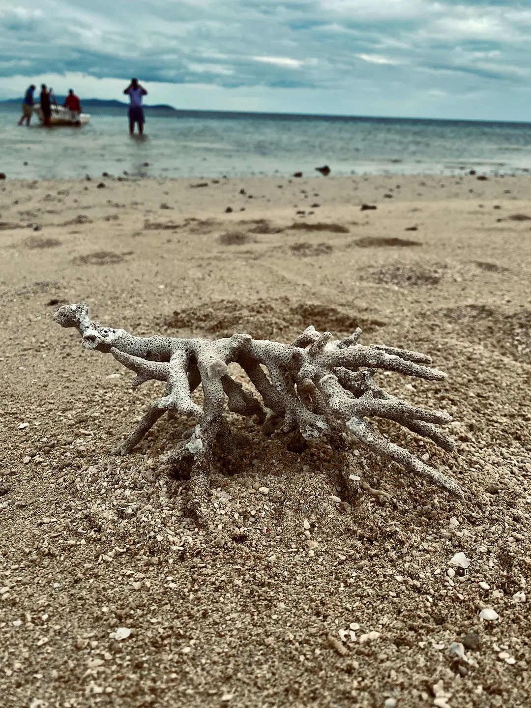 A piece of white coral on a beach. People getting out of a boat in the background. 