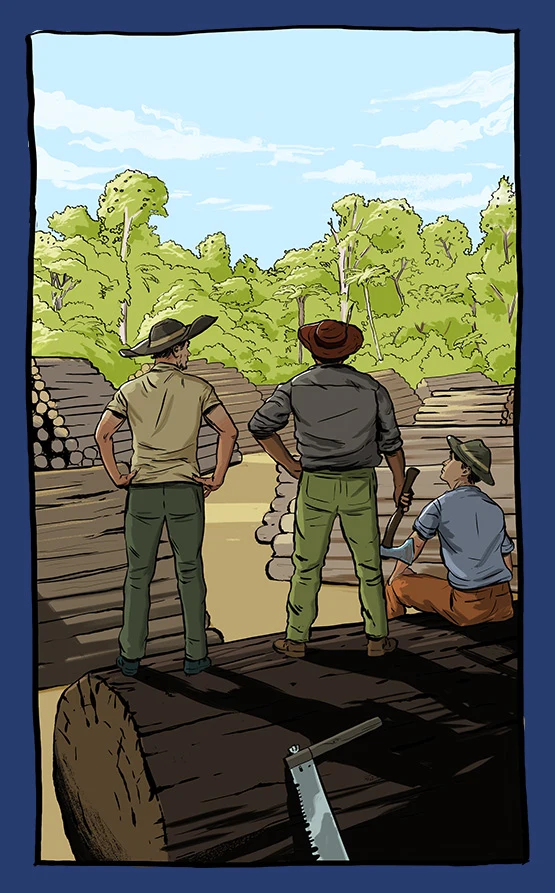 Colour illustration showing timber trade during early European settlement of Aotearoa NZ. 3 men are on top of a large tree log. They look at a cleared forest area with piles of logs.