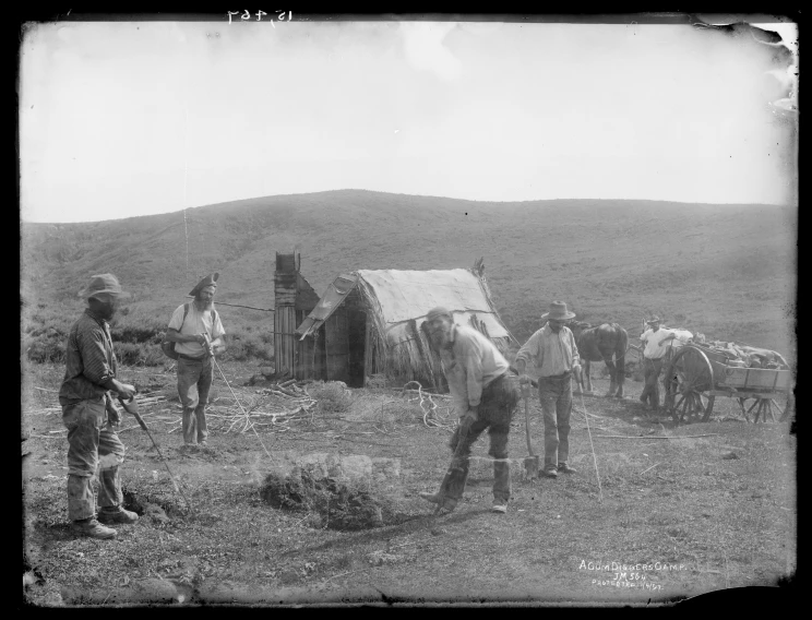 A group of men working the gum fields with small hut and horse and cart in background.