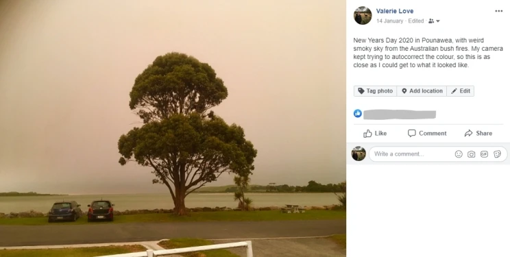 An image on Facebook showing a tree under a hazy sky.