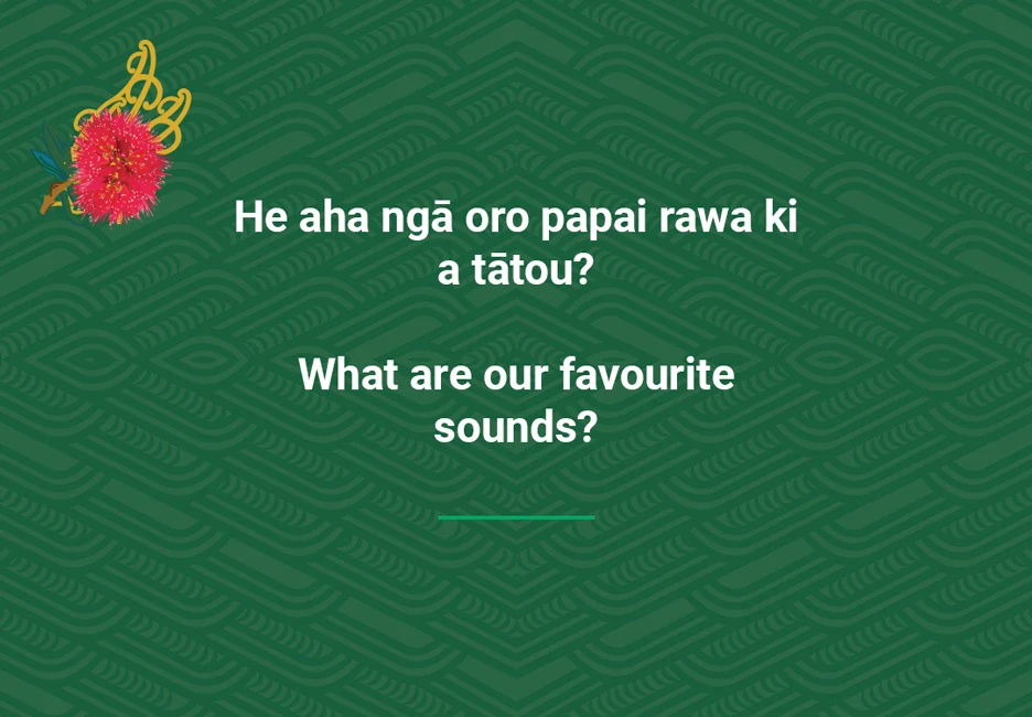 Question in te reo Māori and English about our favourite sounds. See Description below.