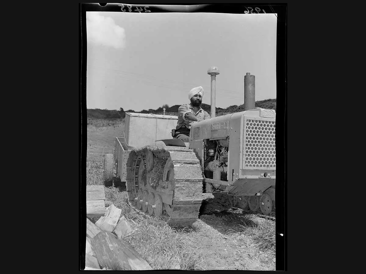 A Sikh, wearing a pagri (turban), driving a tractor in a field on a Whanganui farm. Chopped wood is on the ground next to the tractor. 