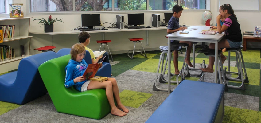 Students working in their school library