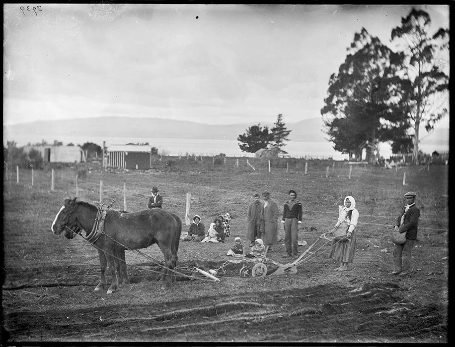 Black and white photograph of a Māori group on a field. A Māori woman is holding a horse-drawn hand plough.
