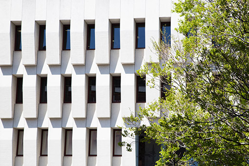 Rehoming 600,000 books from the New Zealand National Library — some ...