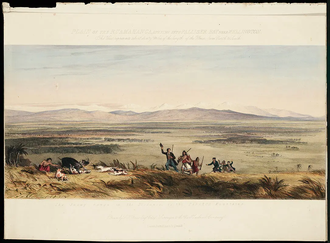 Colour illustration of the Wairarapa Plain. A group of Māori and Pakeha men hunt a boar with their dogs.