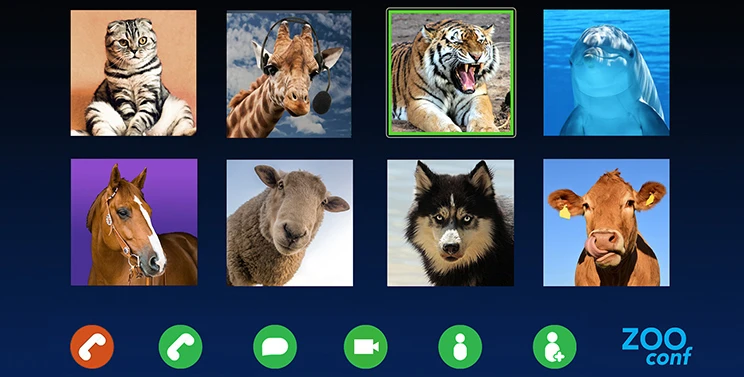 Screenshot of zoo animals on a Zoom call