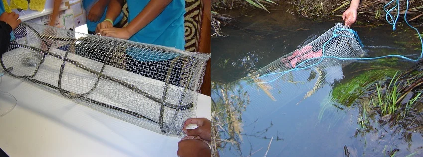 Kupenga (hand fishing net)  Collections Online - Museum of New