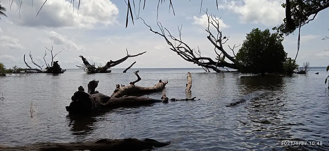 Kilisi Popa, Papua New Guinea