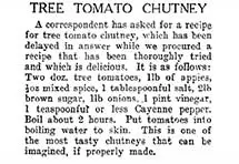 Tree tomato chutney recipe.