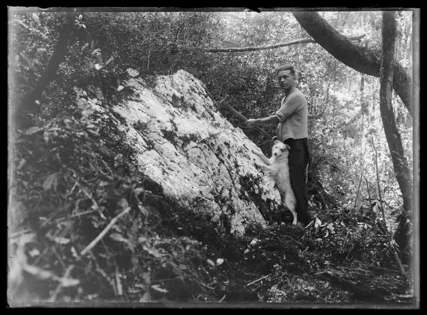 Quartz reef in the forest, 1933