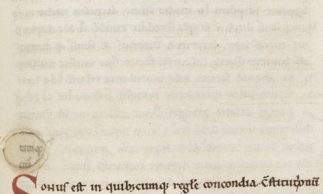 Detail of f.95, showing blank area not filled in by the illustrator