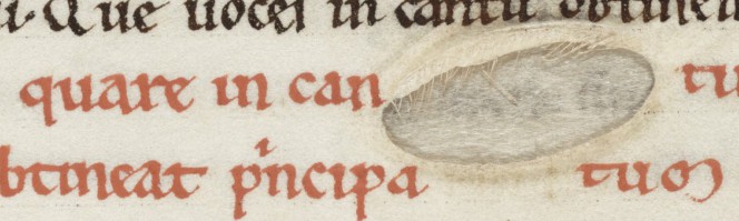 Detail of f.85, showing a hole in the skin