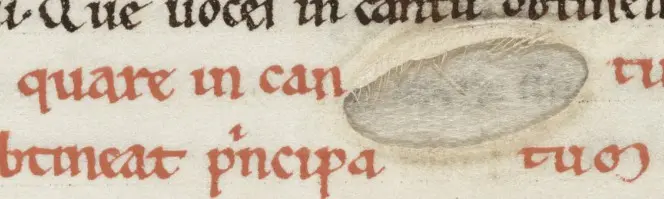 Detail of f.85, showing a hole in the skin