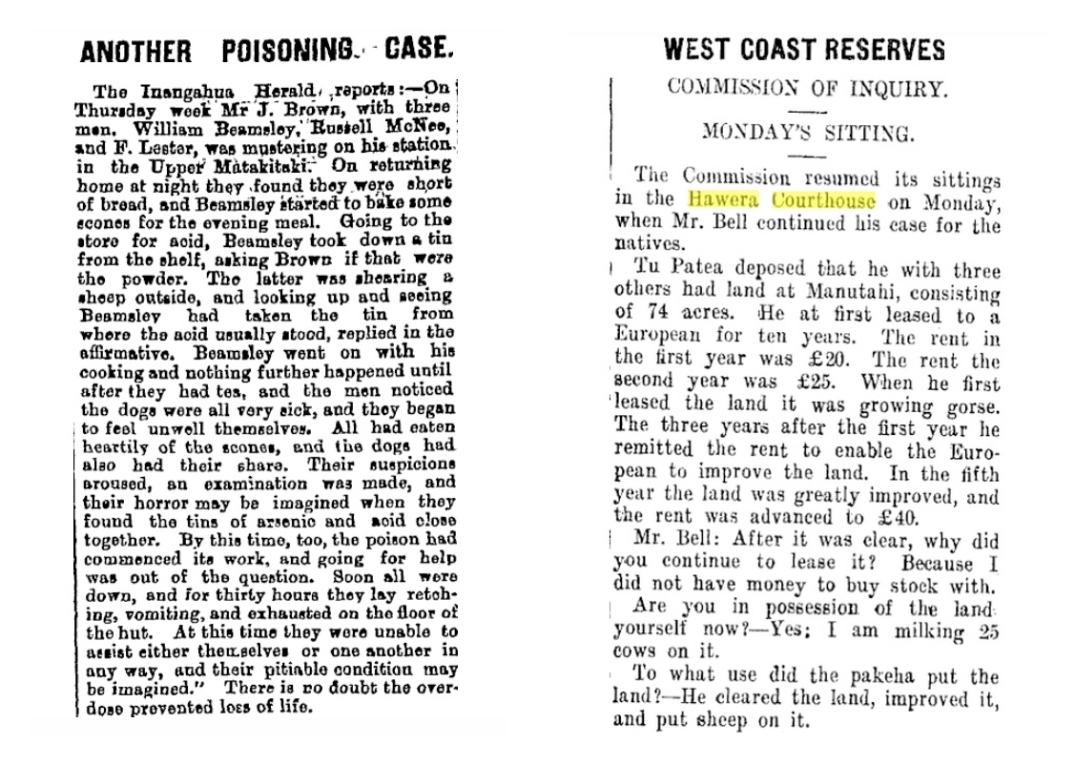 Two newspapers articles, referencing tīpuna of the author.
