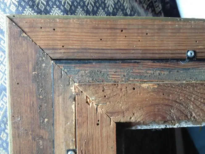 Damage is often more prevalent on the back of frames where wood is more likely to be unsealed.