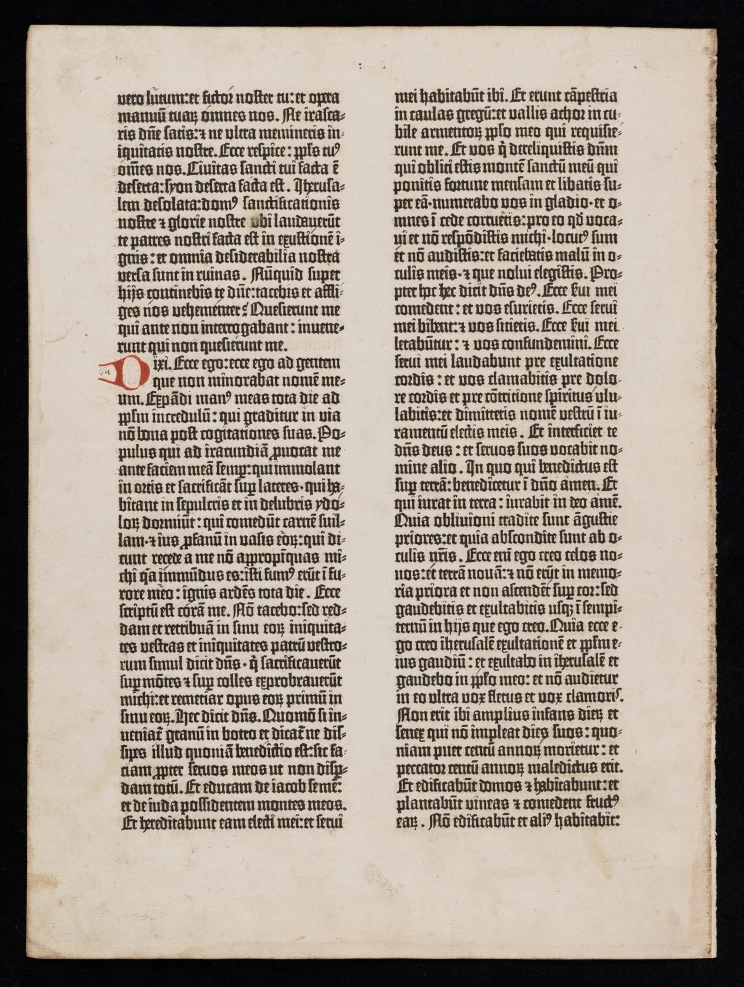 A page of printed text with two long blocks of text in vertical columns, minimal illumination.