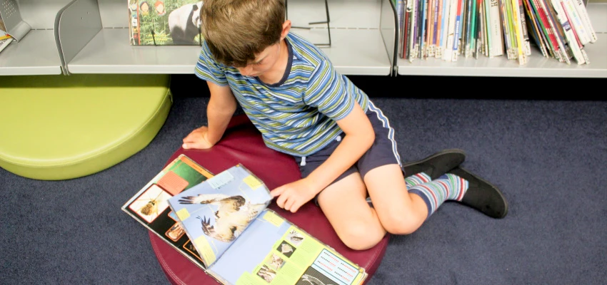 Boy reading.