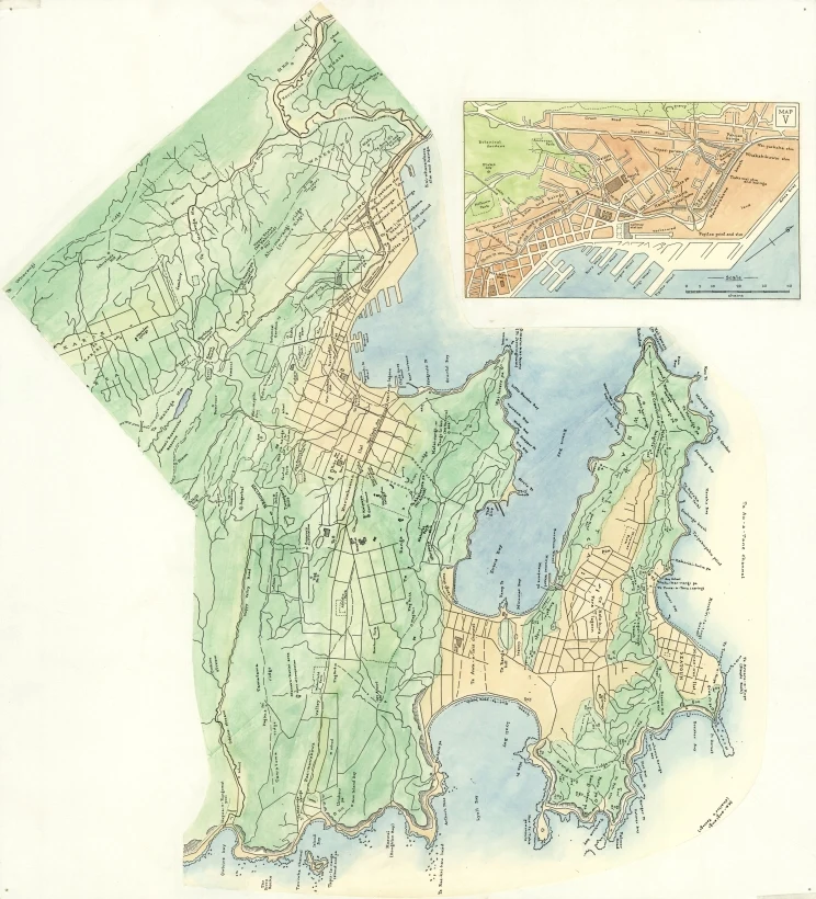 Printed map of Wellington with Māori names.