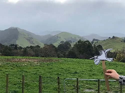 Kuaka the Explorer held in front of misty view across farmland in Ruahine foothills.