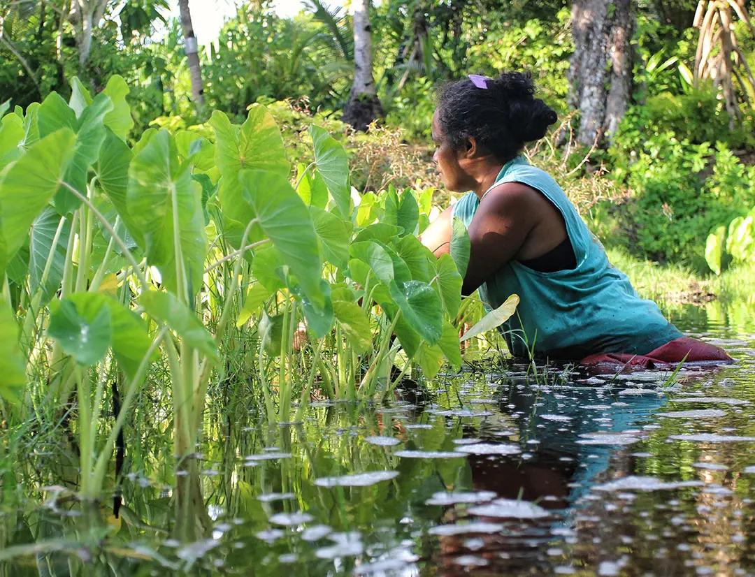 Daniel Kakadi, Solomon Islands