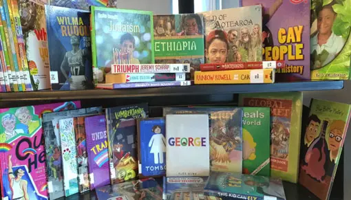 A display of diverse books from our Schools Lending Collection.