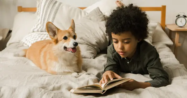 Boy and corgi dog lying on a bed reading for pleasure.