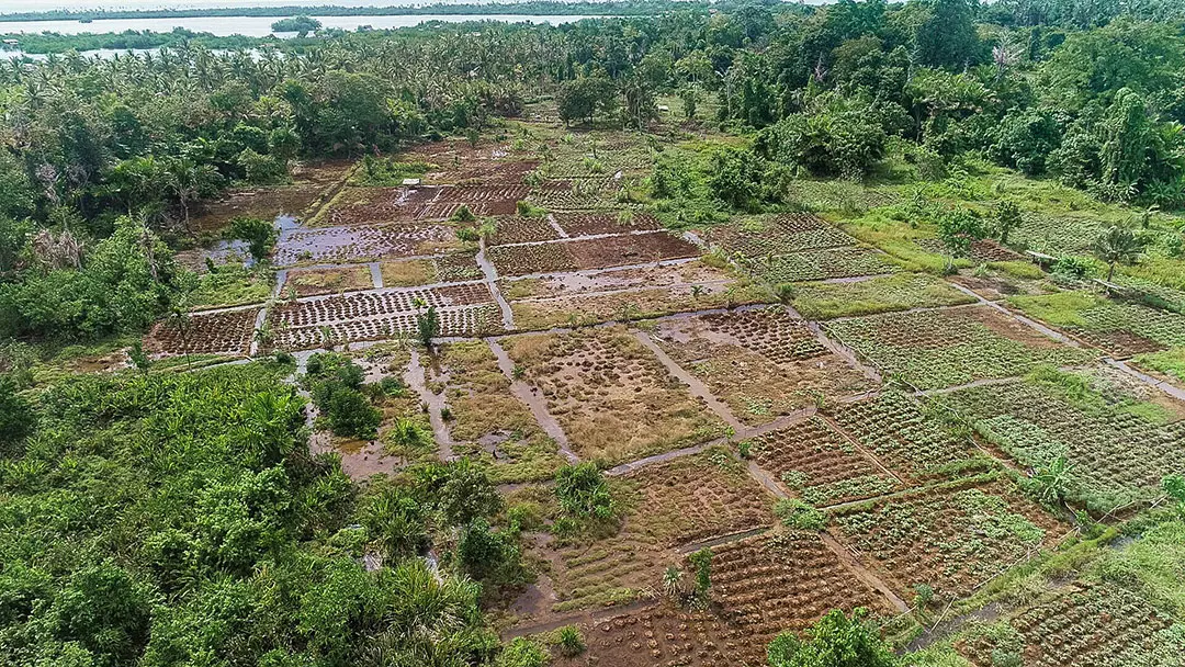 Karl Vaekesa, Solomon Islands