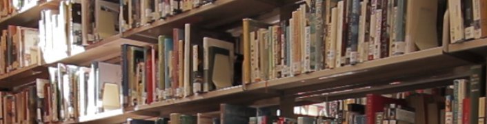 Sunlight on a bookshelf