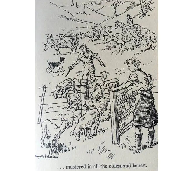 Illustrated back from a Mary Scott book, showing sheep being herded.