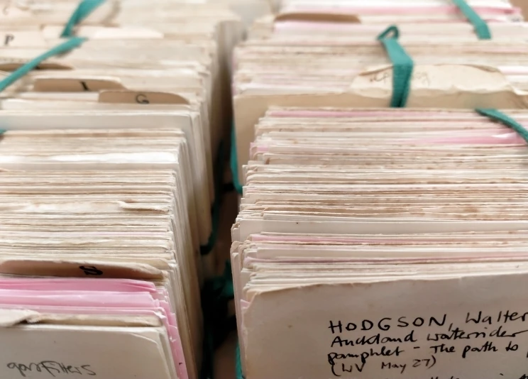 A close-up view of two columns of hundreds of index cards with handwritten information on them.