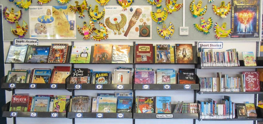 Sophisticated picture books display.