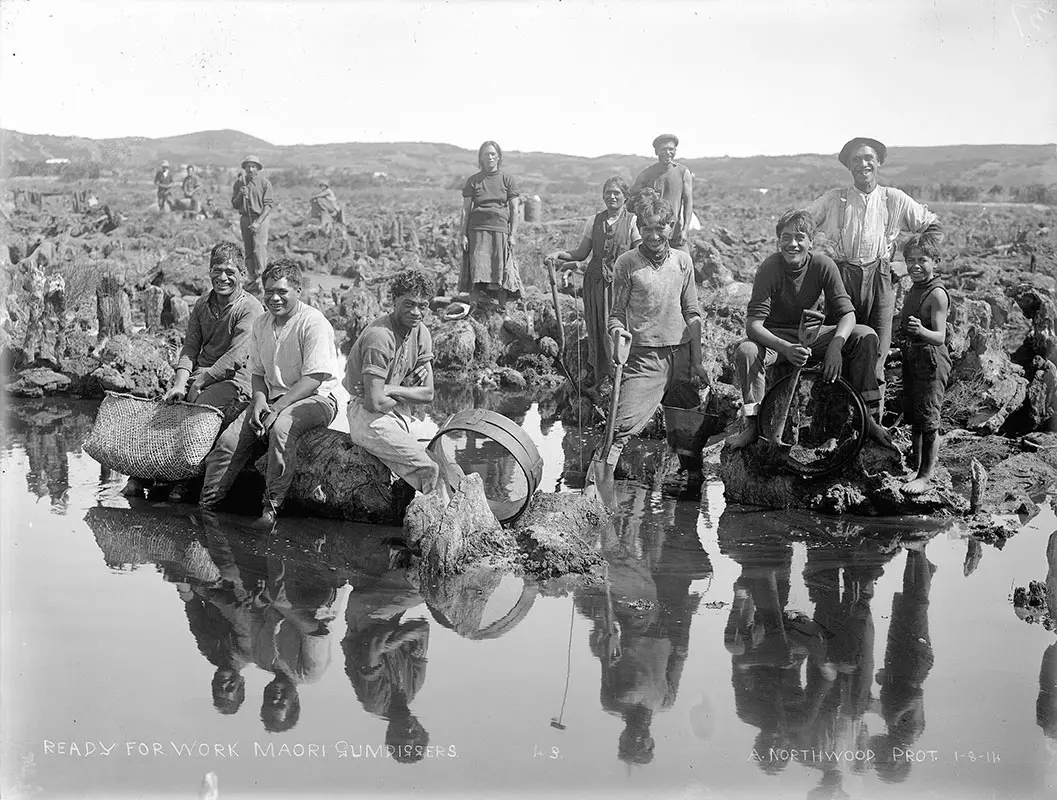 Black and white photograph of Māori gum diggers (women and men) at a swamp with their tools.